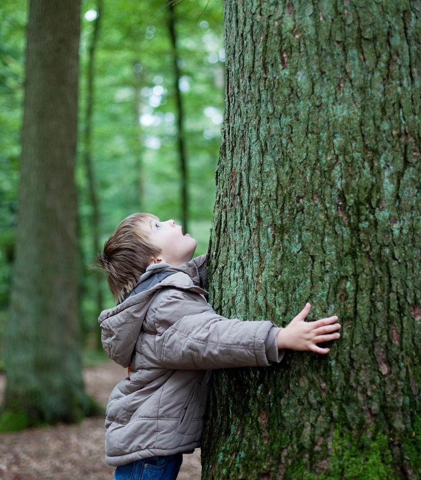 ребенок обнимает дерево